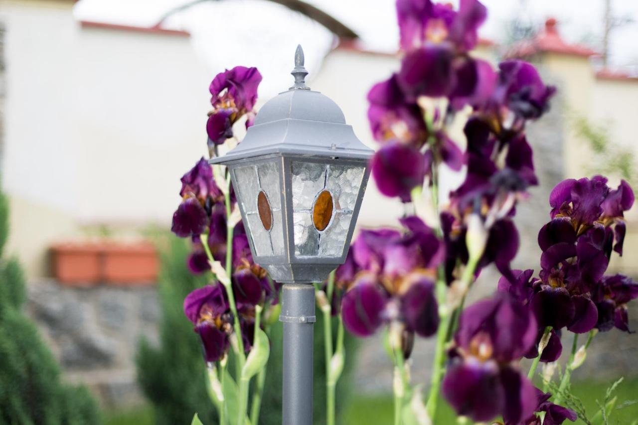 Villa Oselya Kyjev Exteriér fotografie