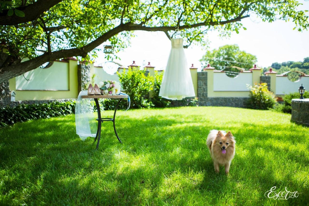 Villa Oselya Kyjev Exteriér fotografie